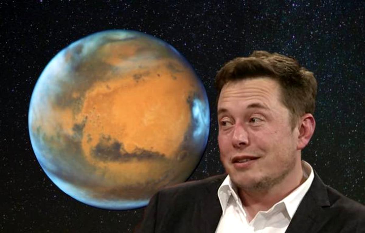 Elon Musk: 
