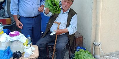 Taraklı’da Yaprak Satışları Başladı