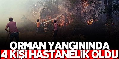 Taraklı'daki orman yangınında 4 kişi hastanelik oldu