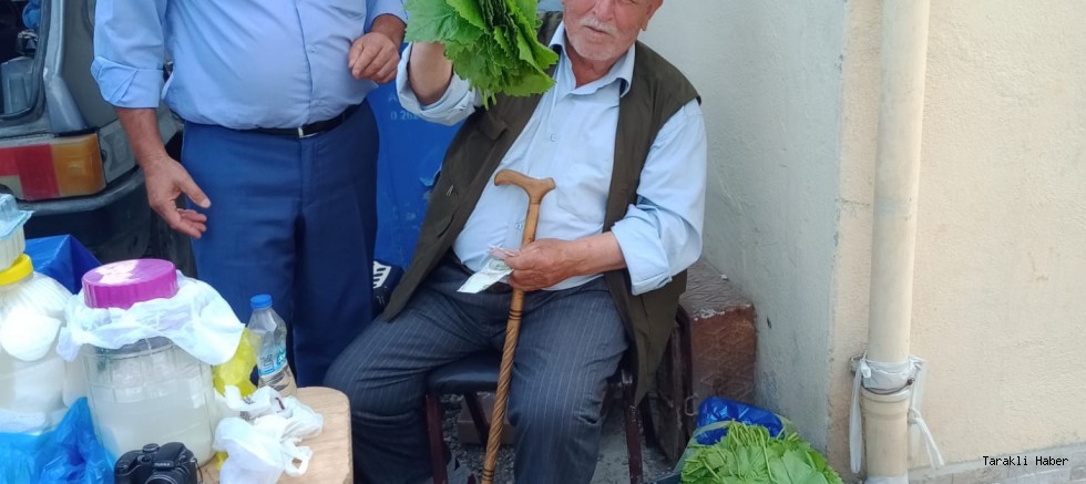 Taraklı’da Yaprak Satışları Başladı