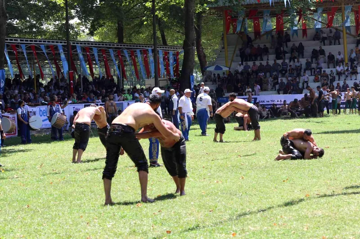 Akbalık Yağlı Güreşleri'nde 600 pehlivan mücadele ediyor