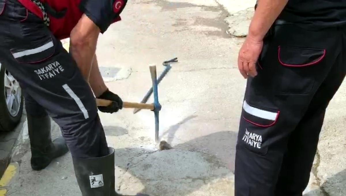 Beton çatlağına sıkışan kirpi, itfaiye ekiplerince kurtarıldı