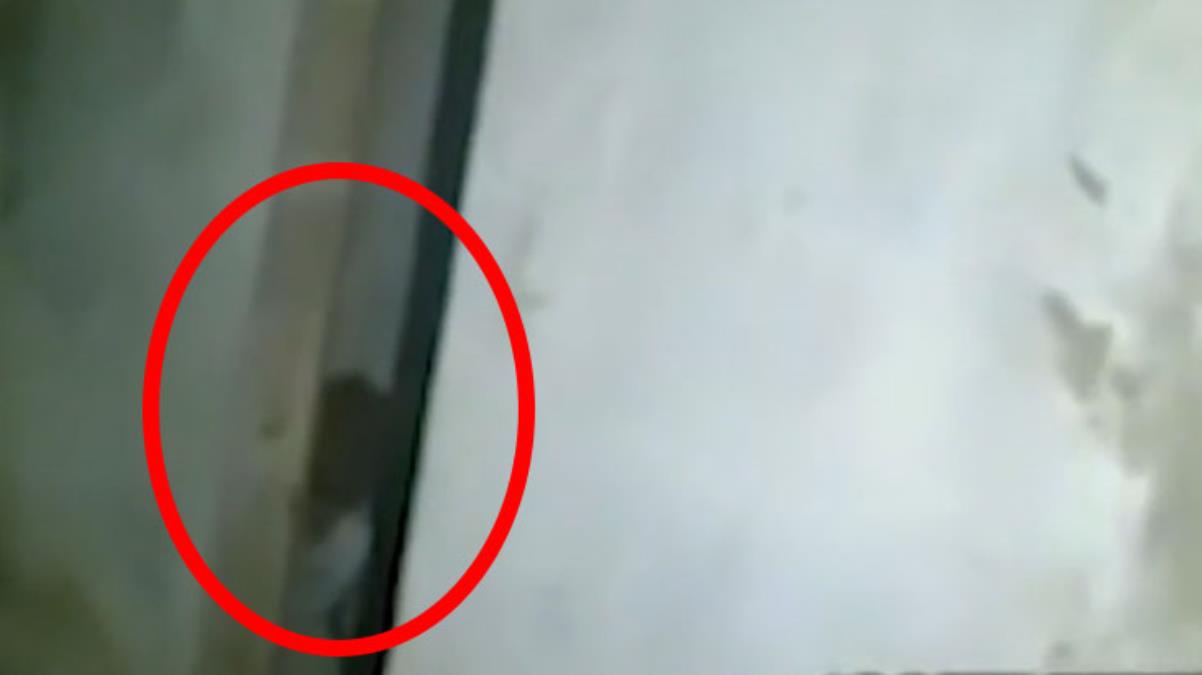 Dünya bunu konuşuyor! Terk edilmiş evde kapı aralığından bakan yaratık görenleri ürküttü