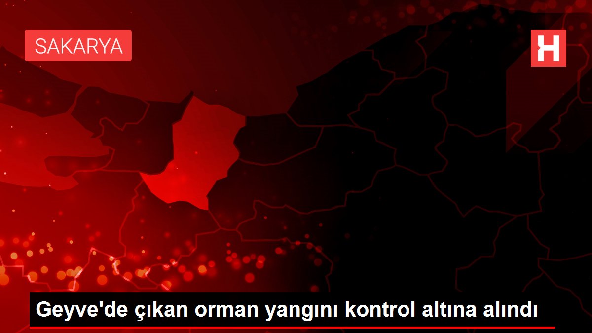 Geyve'de çıkan orman yangını kontrol altına alındı