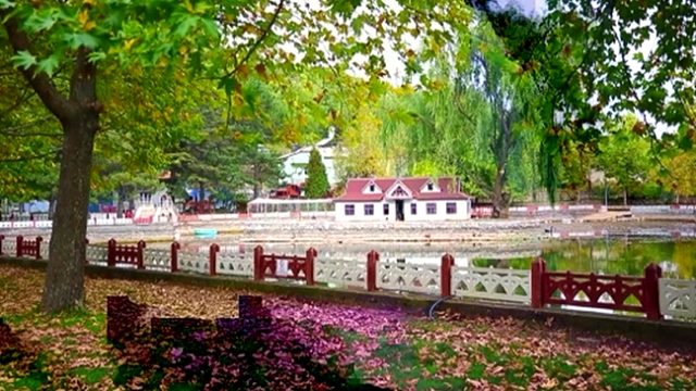 İç Anadolu'nun ortasındaki eşsiz güzellik: Kuğulu Milli Parkı