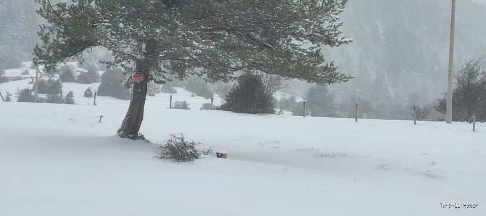  Kar Yağışı Karagöl Yaylası’nı Beyaza Bürüdü