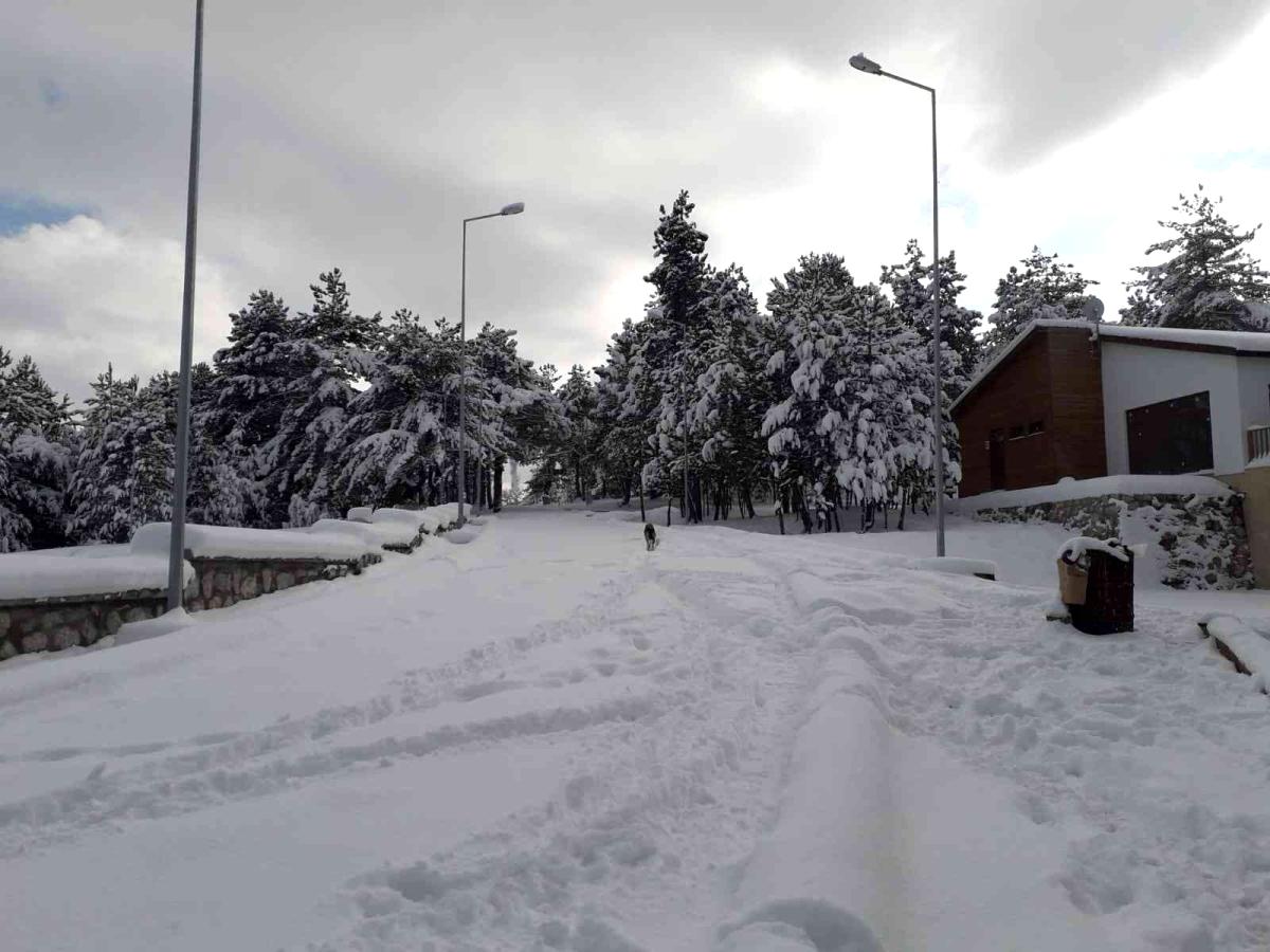 Küçükelmalı Tabiat Parkı beyaza büründü