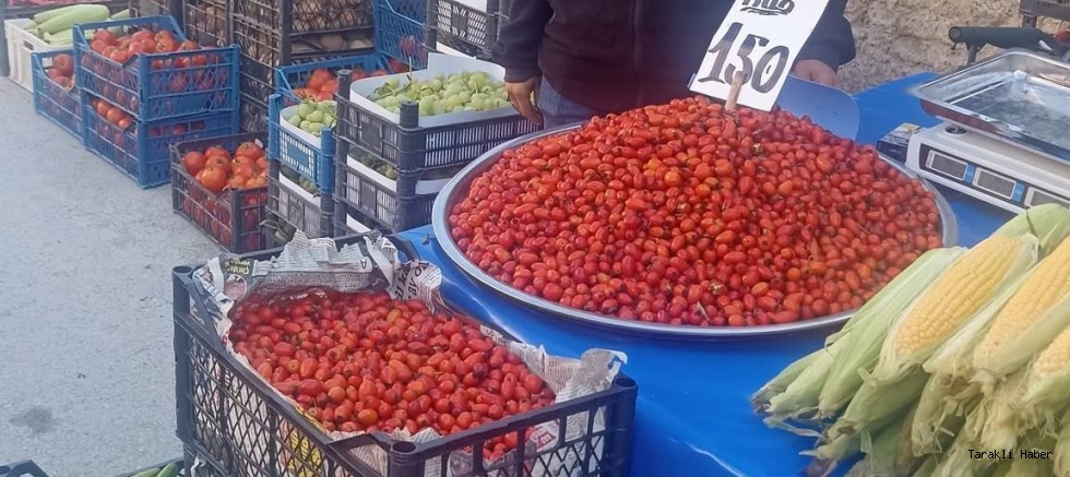  Kuşburnu Geçim Kaynağı Oluyor