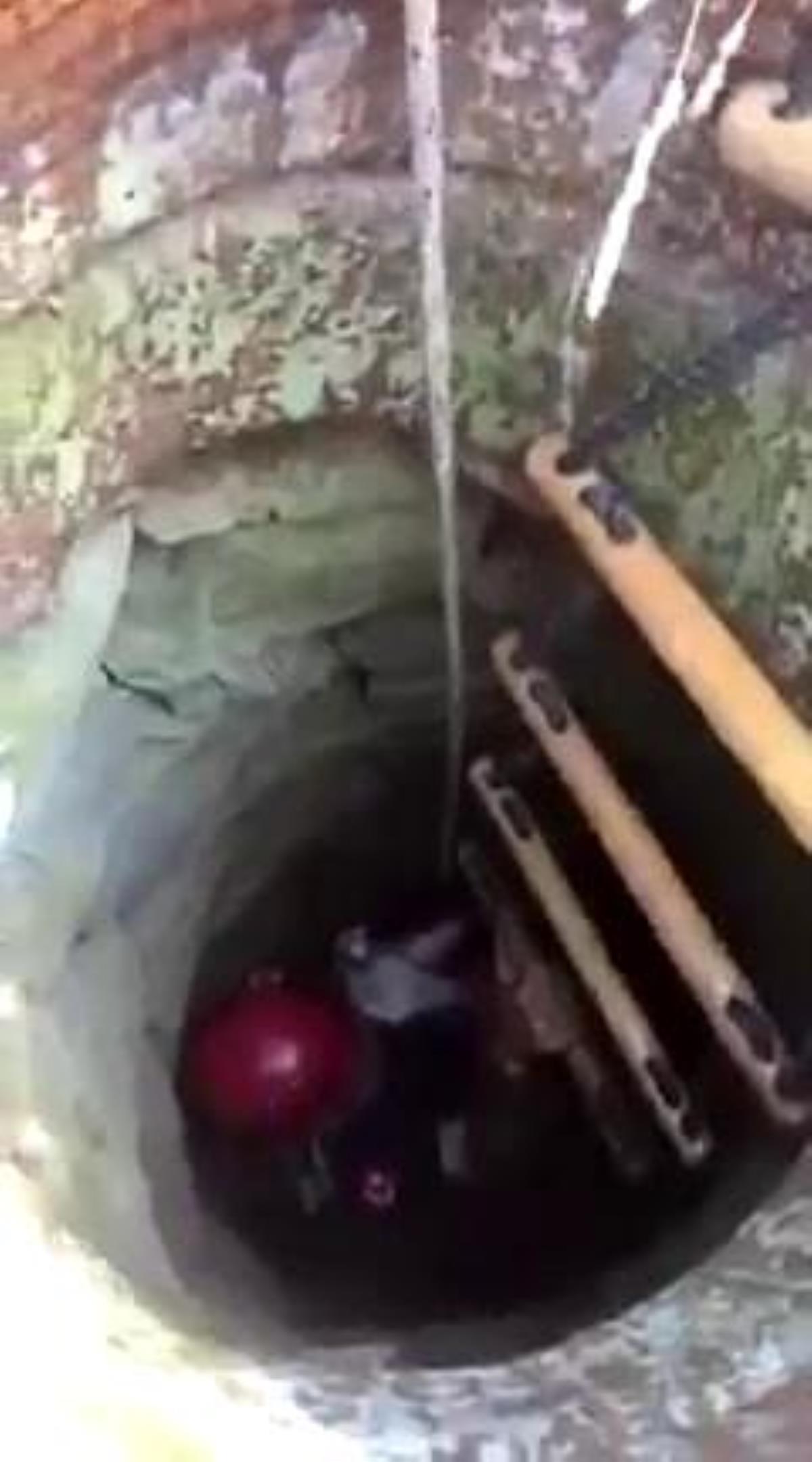 Kuyuya düşen keçi itfaiye ekiplerince kurtarıldı
