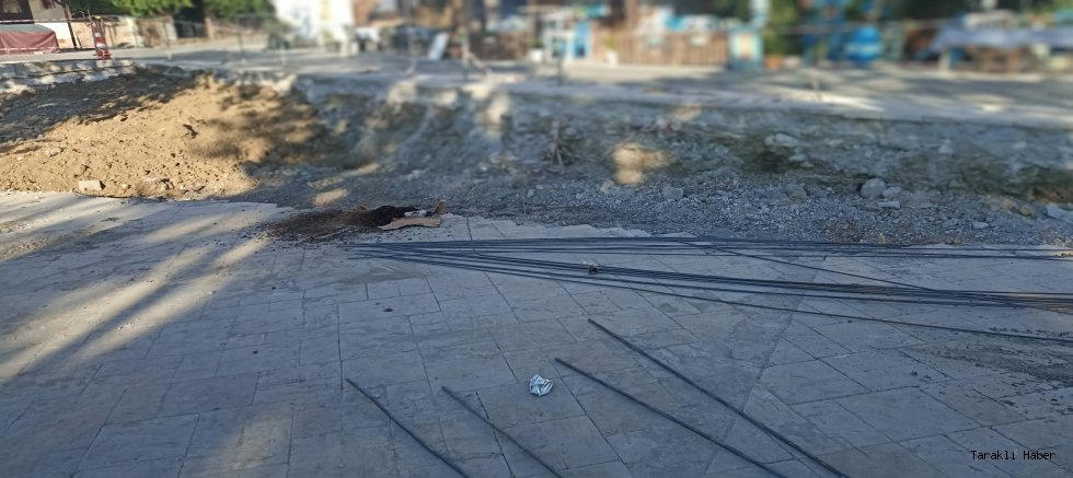 Meydan Ağaçlarla Nefes Alacak