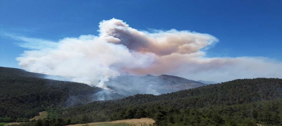 Sakarya’daki orman yangınına 700 personel, 200 araç ve 11 helikopter müdahale ediyor