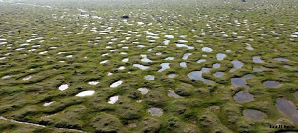 Saklı Cennet Karagöl Yaylası’nda Doğa Şöleni