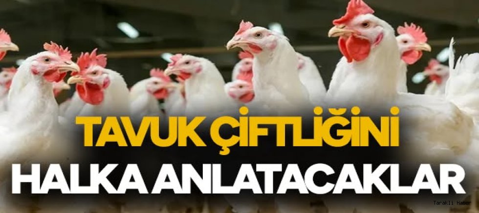 Tavuk çiftliğini halka anlatacaklar