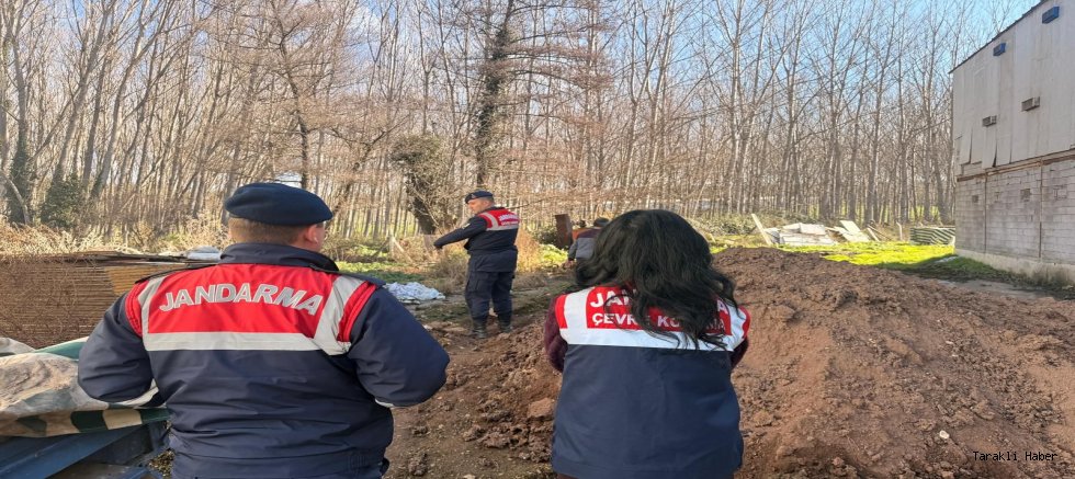 Tavuk Çiftliklerine Denetim: Mevzuata Aykırı Üretime Ceza