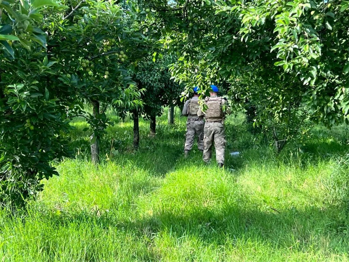 Meyve hırsızlıklarına jandarmadan önlem