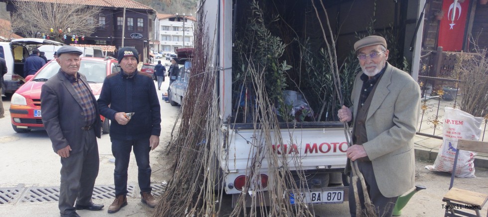 Pazarda Fidan Satışları Başladı