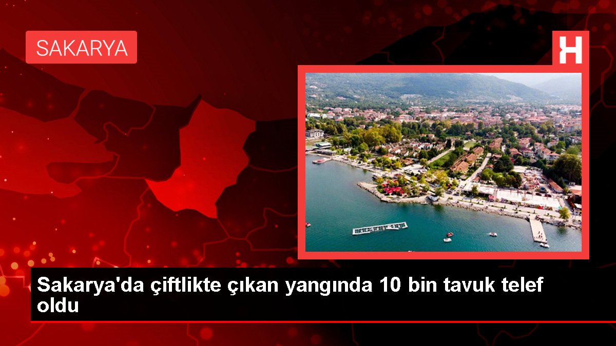 Sakarya'da çiftlikte çıkan yangında 10 bin tavuk telef oldu