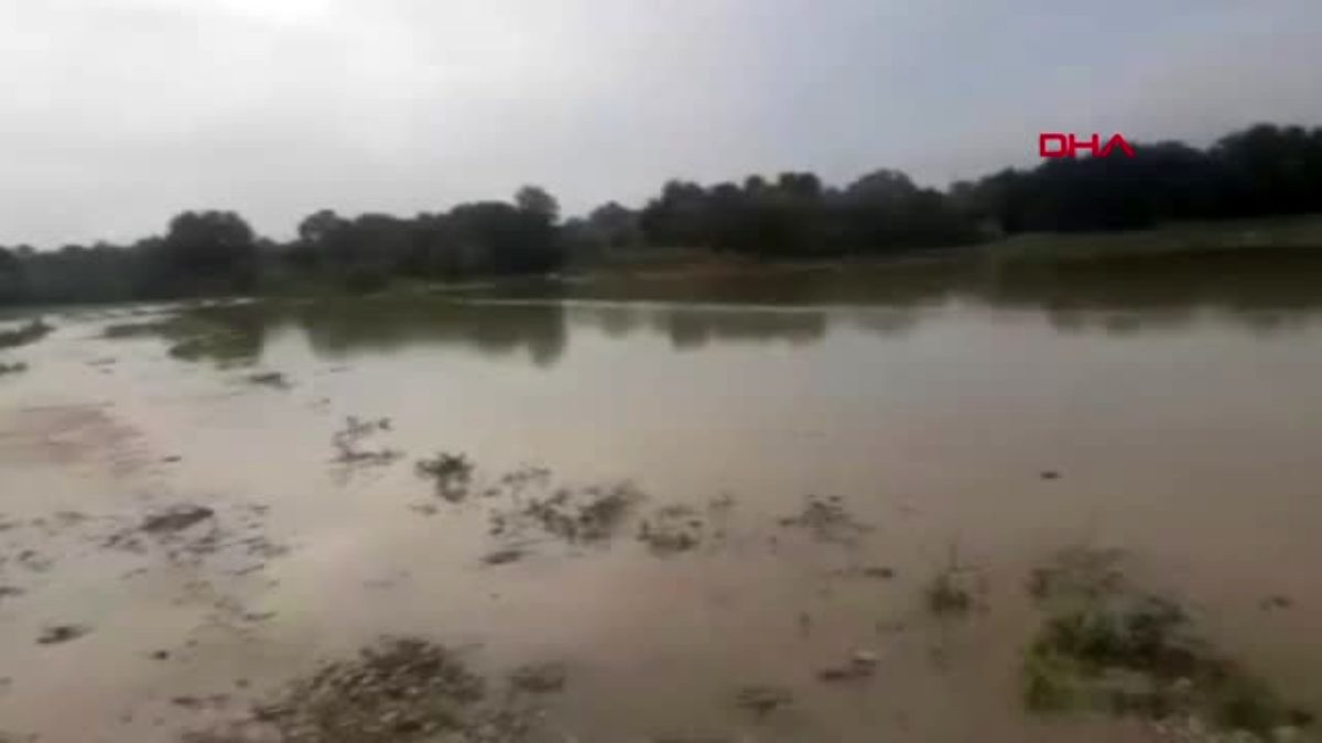 Sakarya'da kanal taştı, tarım arazilerini su bastı