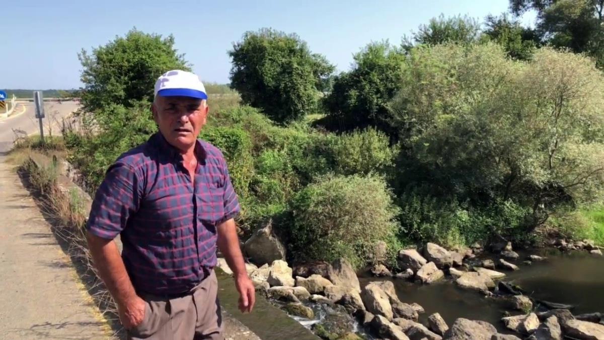 Saklı cennet 'Acarlar Longozunu' besleyen derelerde balık ölümleri çoğaldı
