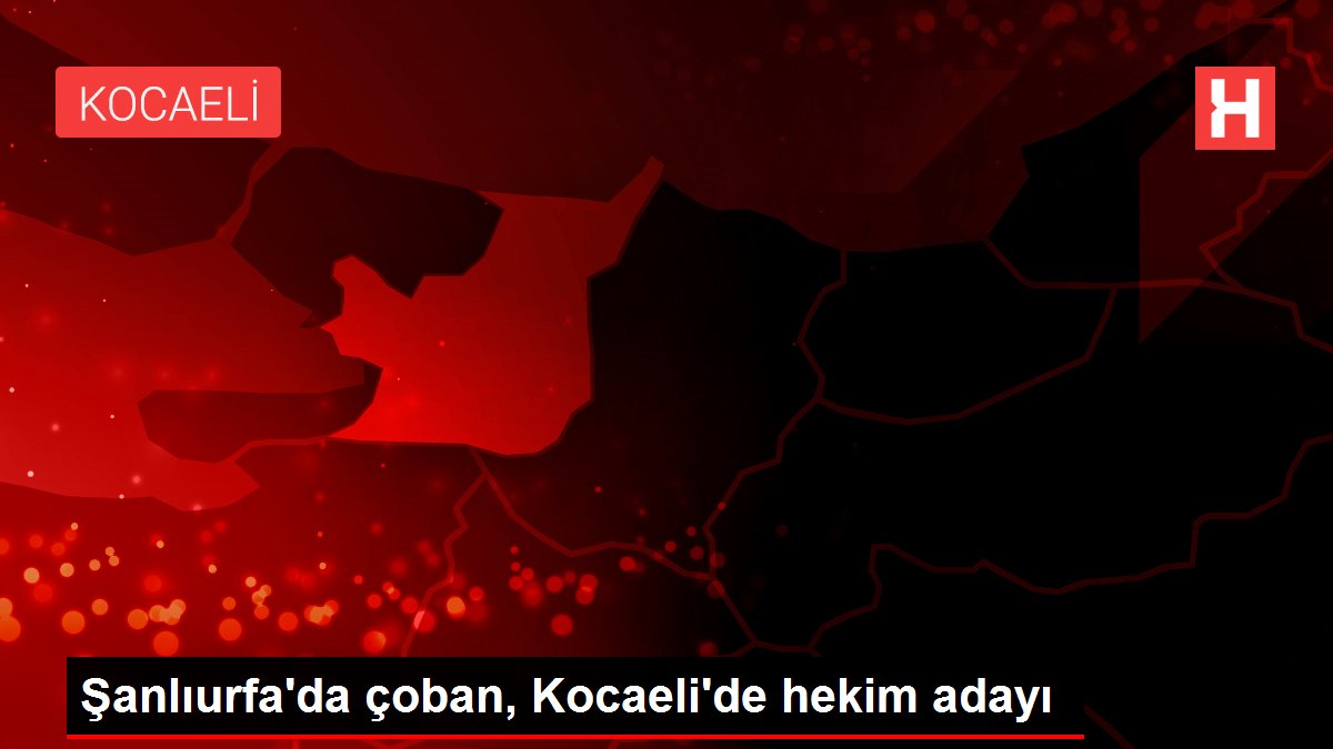 Şanlıurfa'da çoban, Kocaeli'de hekim adayı
