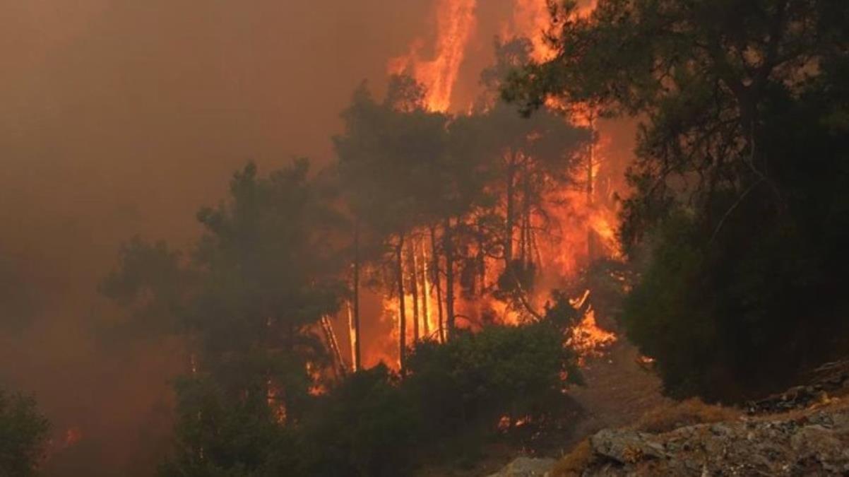 Son Dakika: 217 yangın kontrol altına alındı, 2 ildeki 6 noktada alevlerle mücadele devam ediyor