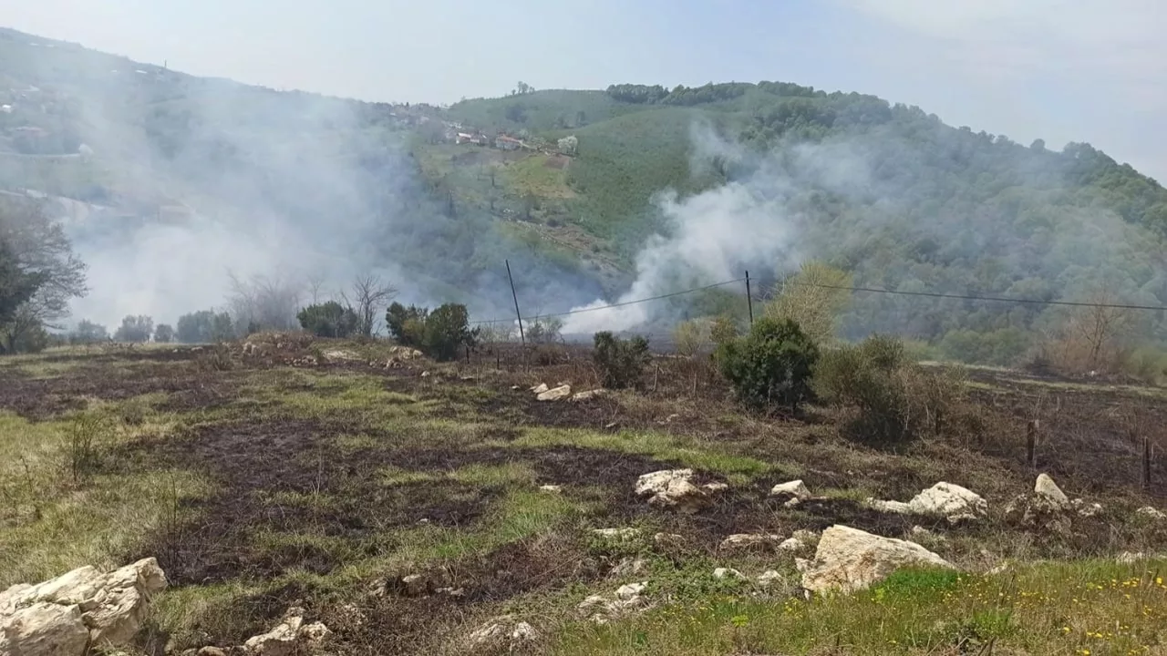 Son dakika haberi... Sakarya'da arazide korkutan yangın: Evlere metreler kala söndürüldü