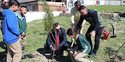 21 Mart Dünya Ormancılık Haftası 