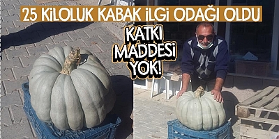 kabak