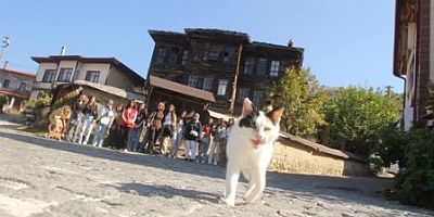  Akyazı’nın Genç Sağlıkçıları Taraklı’yı Keşfetti