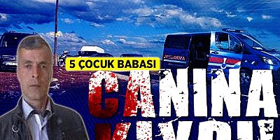 vedat
