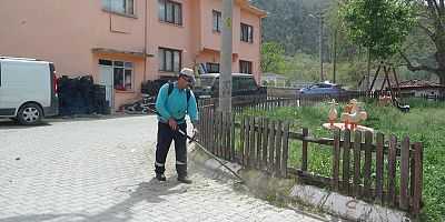 BAHAR TEMİZLİĞİ