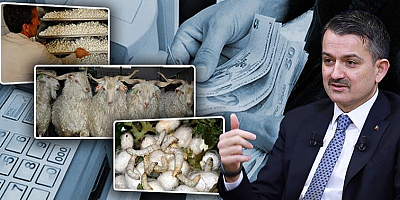 BAKAN PAKDEMİRLİ: “İPEKBÖCEĞİ VE TİFTİK DESTEKLEMELERİ ÖDEMELERİNE BAŞLIYORUZ”