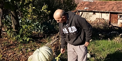 Bu da 35 kiloluk Kabak