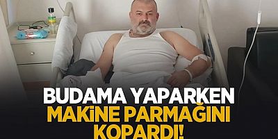 Budama yaparken Makine parmağını kopardı
