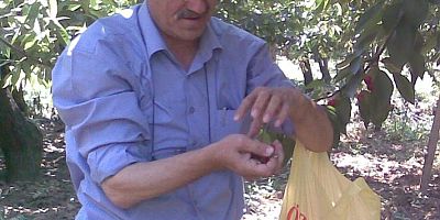 irfan