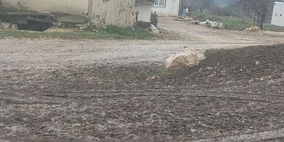 Gülveren Sokak’ta Çamur Çilesi: Mahalle Sakinleri Asfalt İstiyor