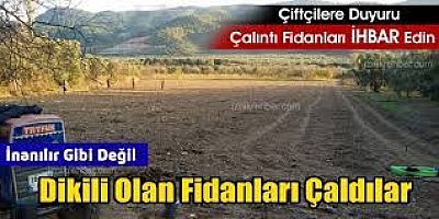 İnanılır Gibi Değil....