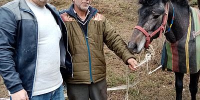 kayıp