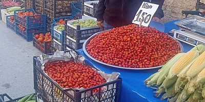  Kuşburnu Geçim Kaynağı Oluyor