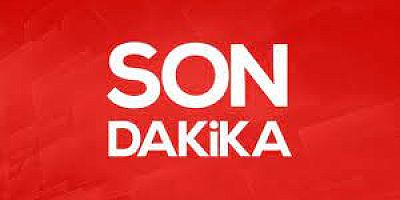 Orman Yangını
