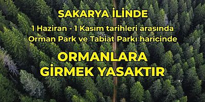 Ormanlara Giriş 1 Haziran - 1 Kasım Tarihleri Arası Yasak