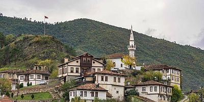  Panele Davet