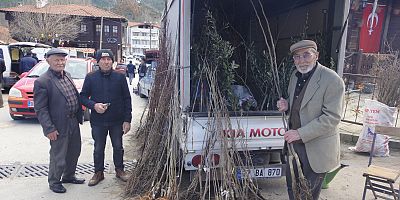 Pazarda Fidan Satışları Başladı