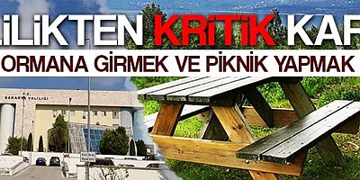 Sakarya’da ormana girmek yasaklandı