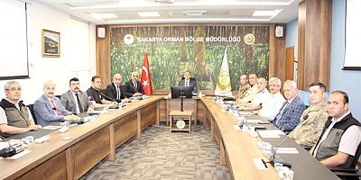 sakarya
