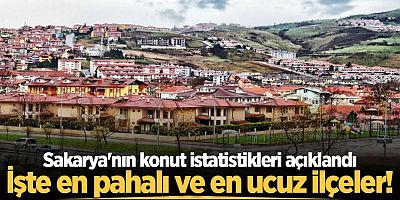 Sakarya'nın konut istatistikleri açıklandı: İşte en pahalı ve en ucuz ilçeler!