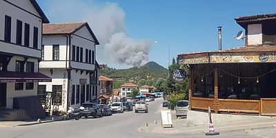 Taraklı'da Orman Yangını