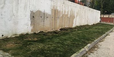 TARAKLI BELEDİYESİ SARARAN AĞAÇLARI SÖKTÜ