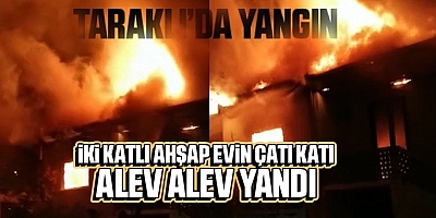 yangın