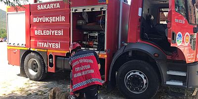 Taraklı’da kafası sobaya sıkışan köpek itfaiye ekipleri tarafından kurtarıldı